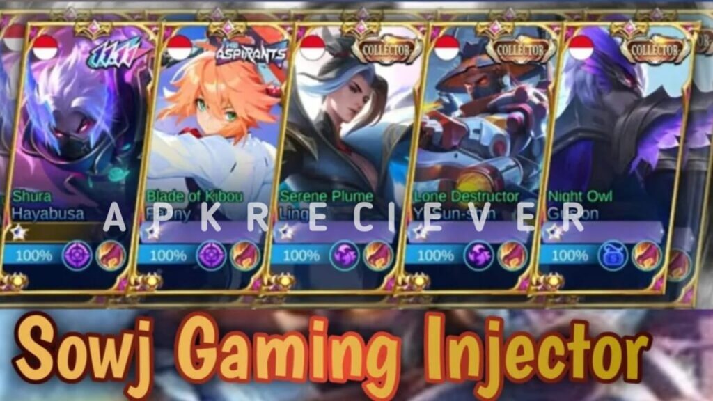 Sowj Gaming Injector